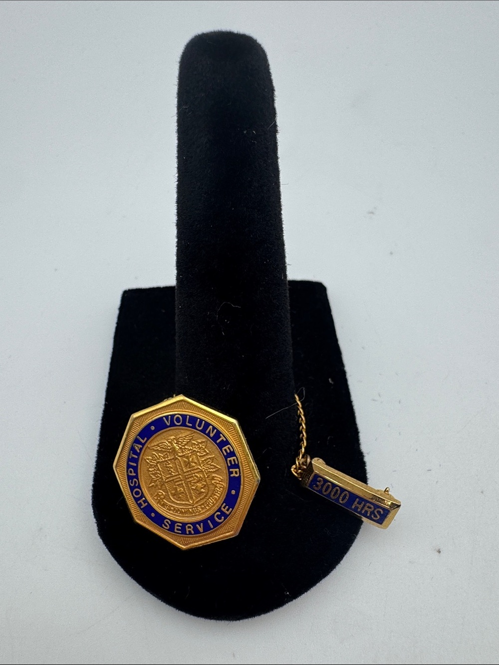 Hospital Volunteer Service 3000 Hrs Gold & Blue Service Pin